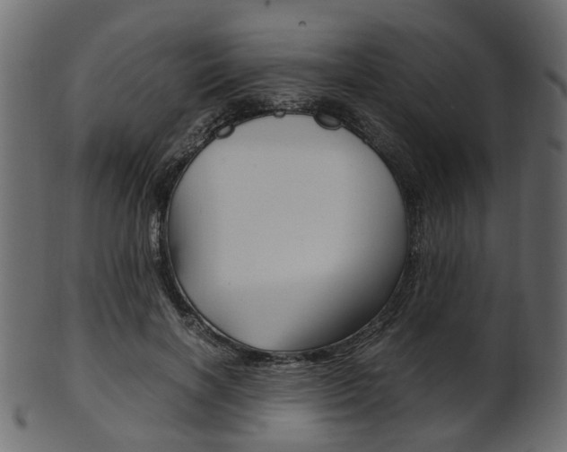 X0000102030646200807181007