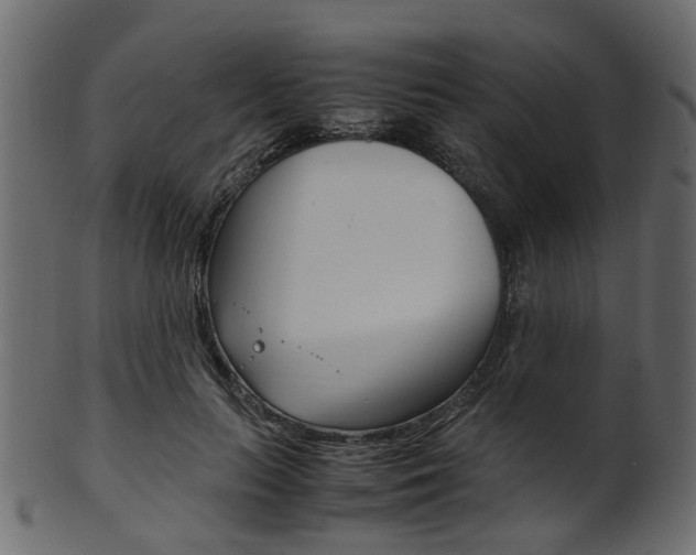 X0000102030647200807181007