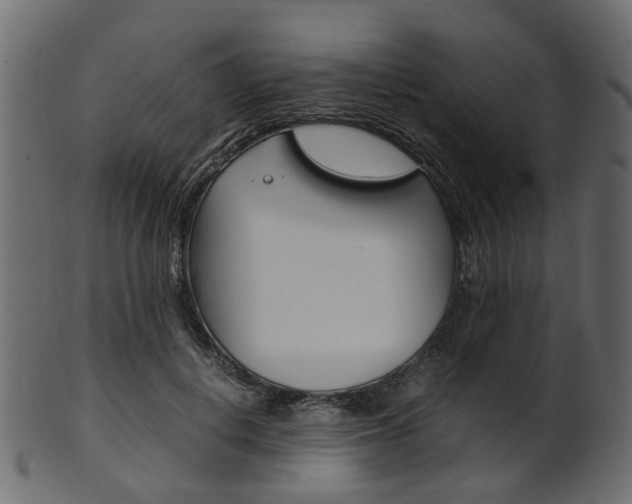 X0000102030648200807181007