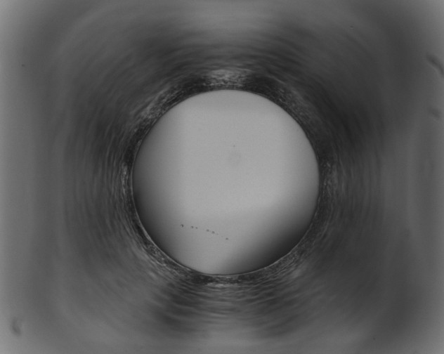 X0000102030649200807181007