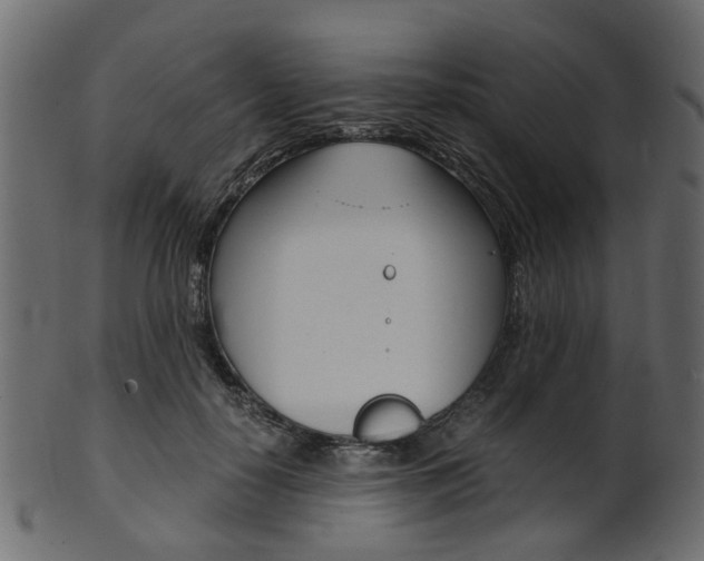 X0000102030650200807181007