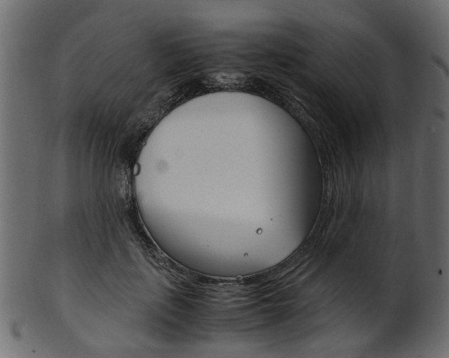 X0000102030651200807181007