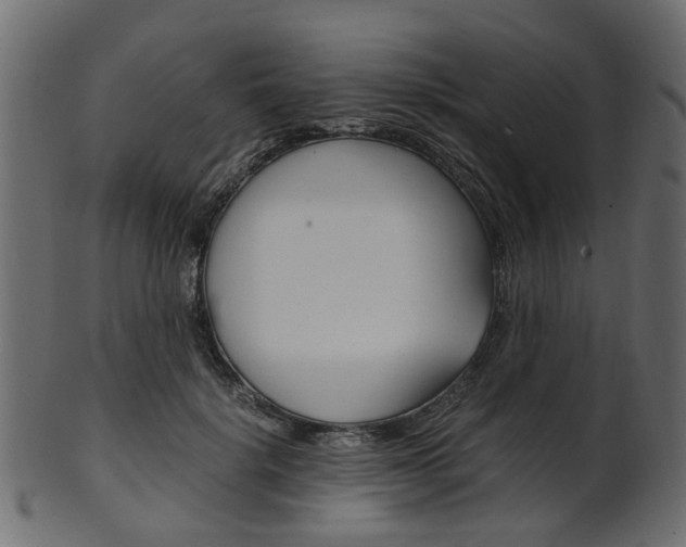 X0000102030652200807181007