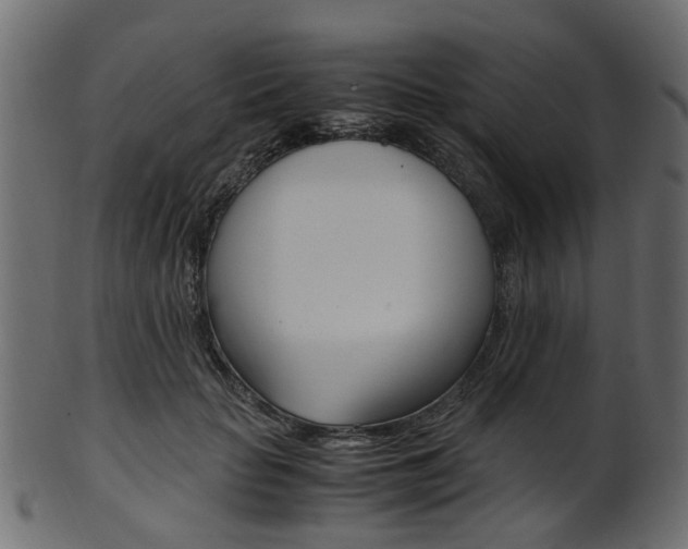 X0000102030653200807181007