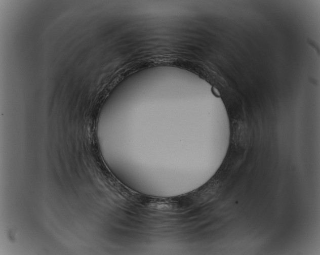 X0000102030655200807181008