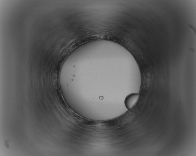 X0000102030656200807181008