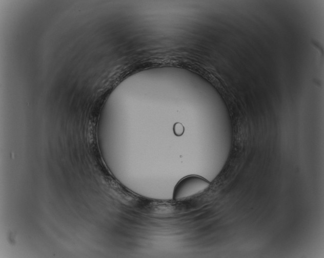 X0000102030658200807181008