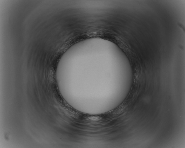 X0000102030659200807181008