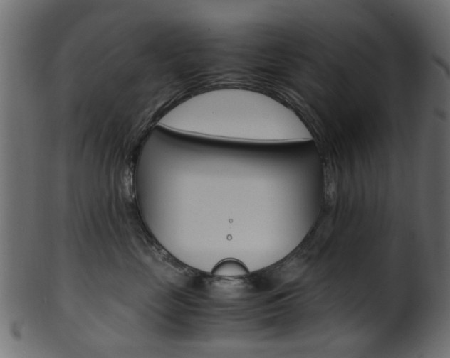 X0000102030669200807181008