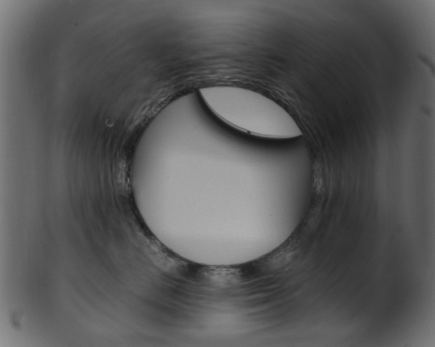 X0000102030670200807181008