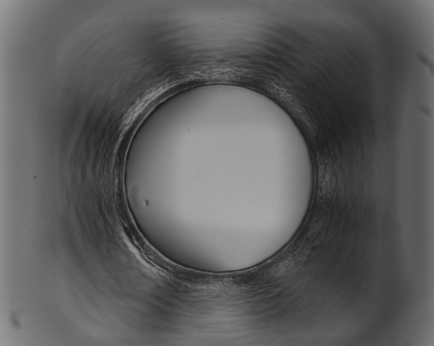 X0000102030674200807181007