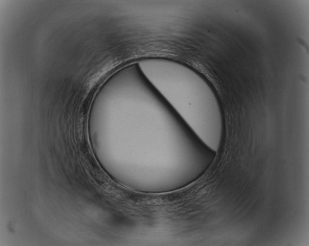 X0000102030675200807181007