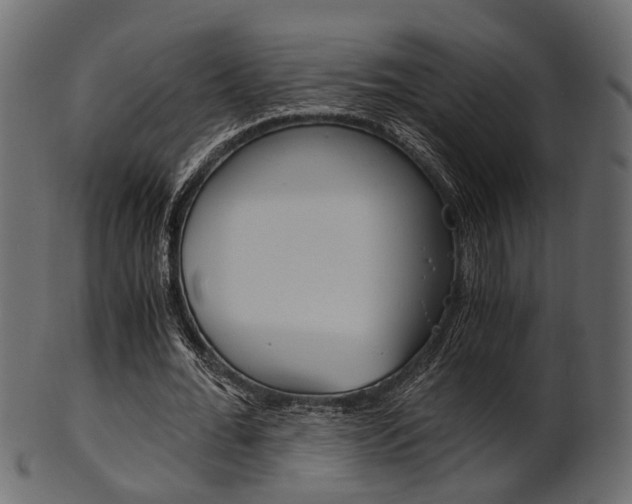 X0000102030676200807181007