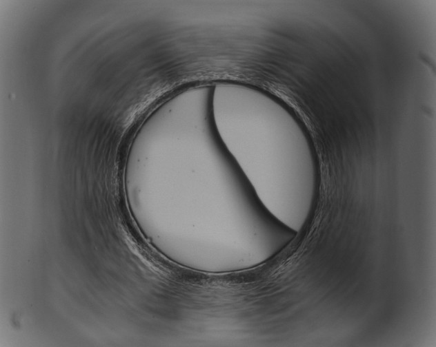 X0000102030677200807181007