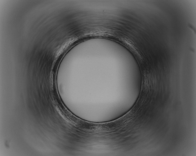 X0000102030678200807181007