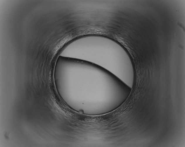 X0000102030679200807181007