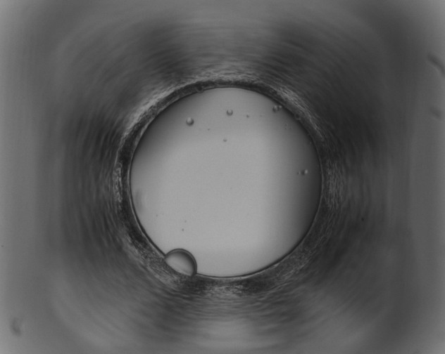 X0000102030680200807181007