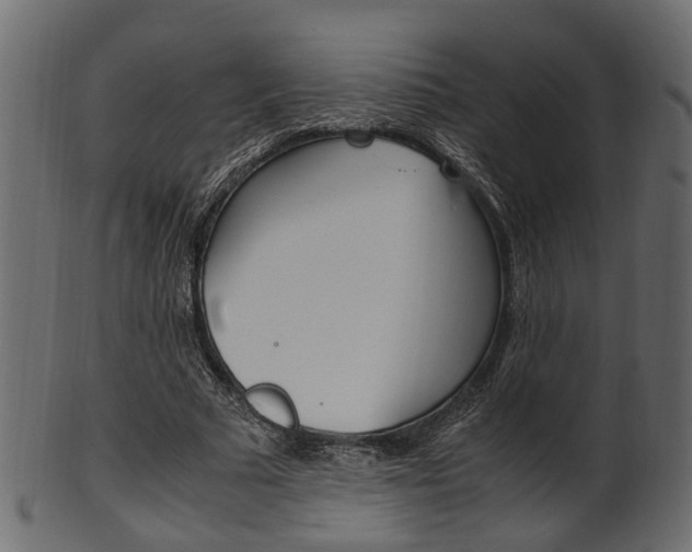 X0000102030681200807181007