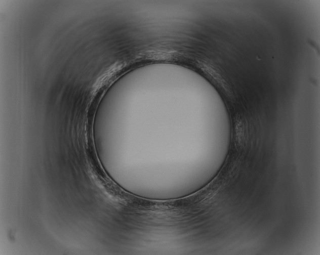 X0000102030682200807181007