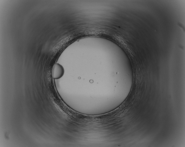 X0000102030683200807181007