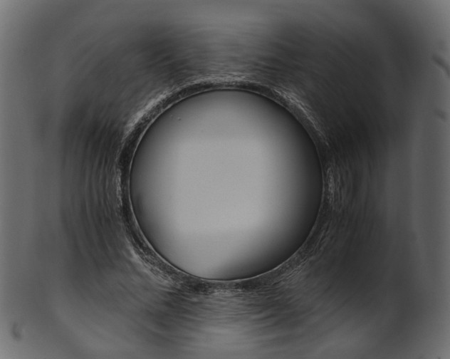 X0000102030684200807181007