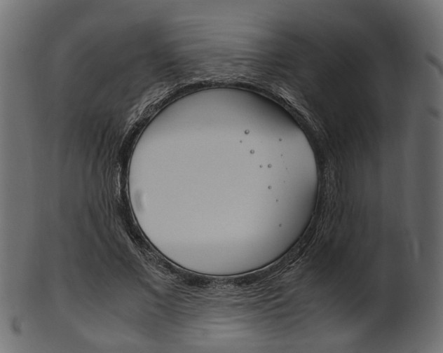 X0000102030685200807181007