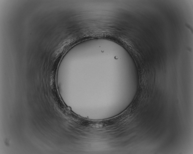 X0000102030687200807181007