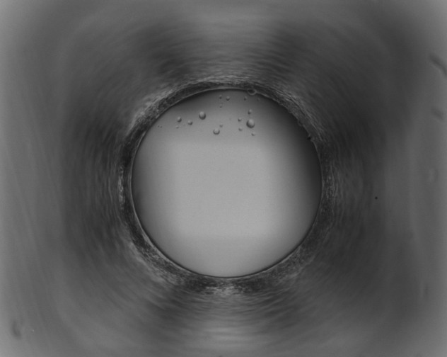 X0000102030688200807181007