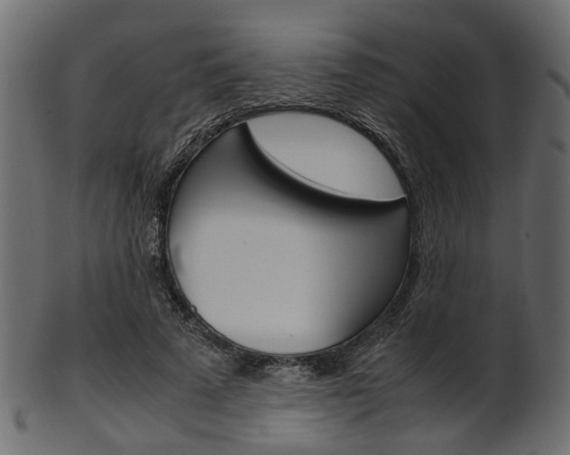 X0000102030689200807181007