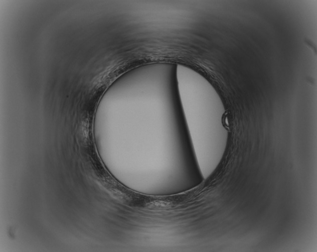 X0000102030691200807181007