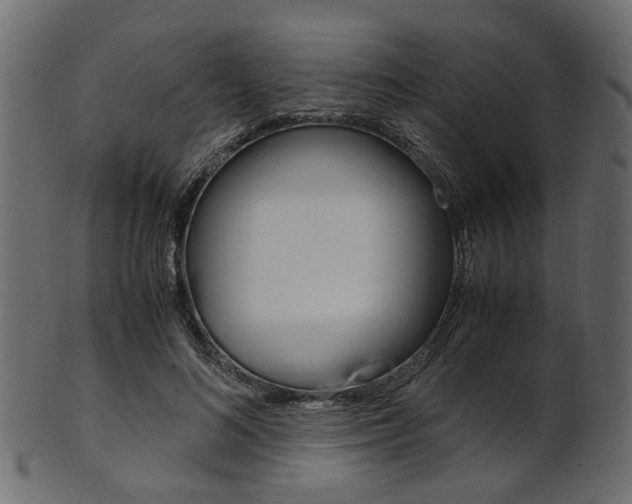 X0000102030692200807181007