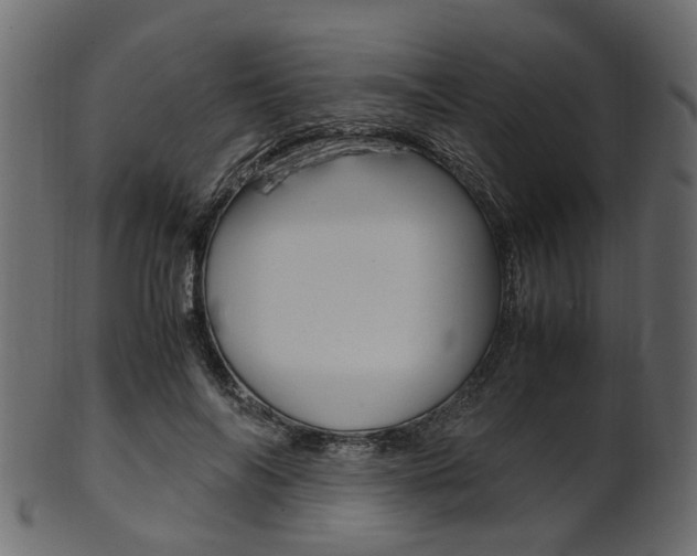 X0000102030694200807181007