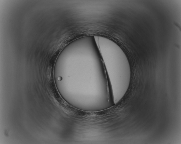 X0000102030695200807181007