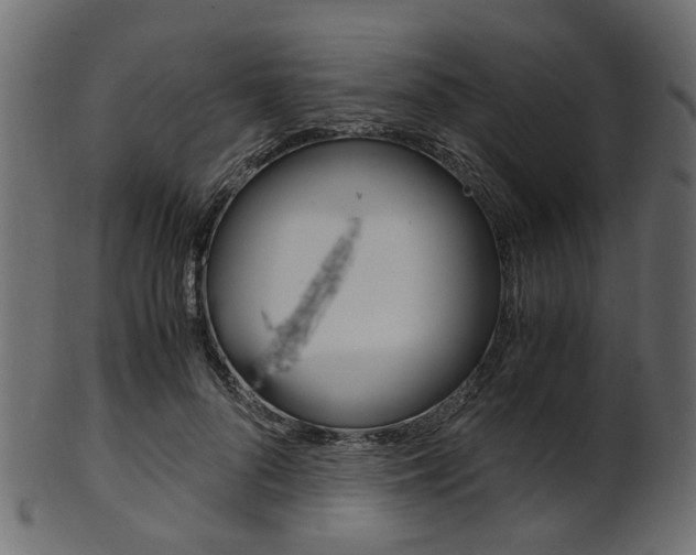 X0000102030696200807181007