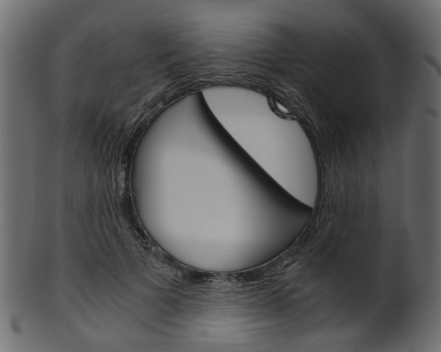 X0000102030697200807181007