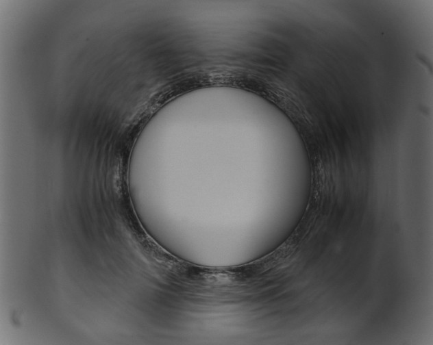 X0000102030698200807181007