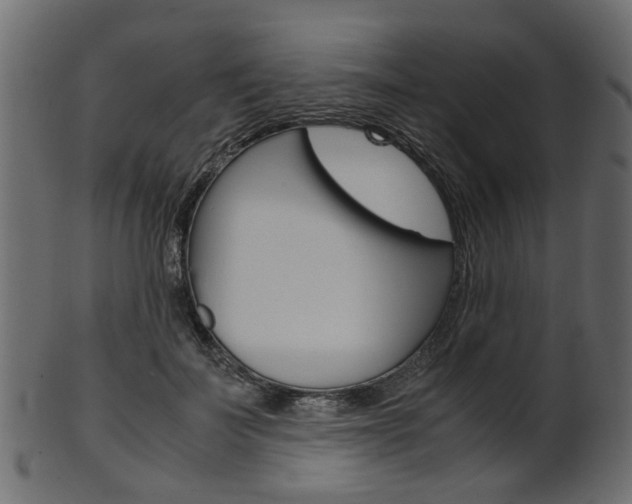 X0000102030699200807181007