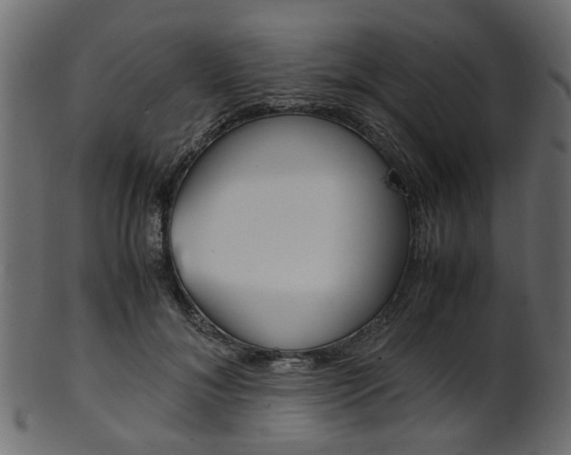 X0000102030700200807181007