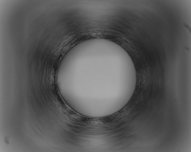 X0000102030702200807181007