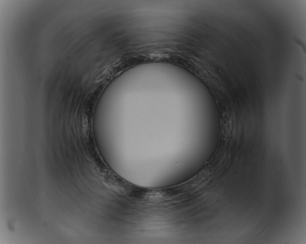 X0000102030704200807181007