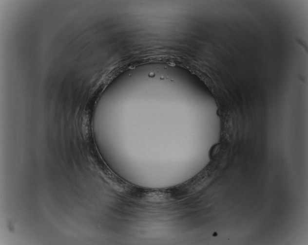 X0000102030708200807181007