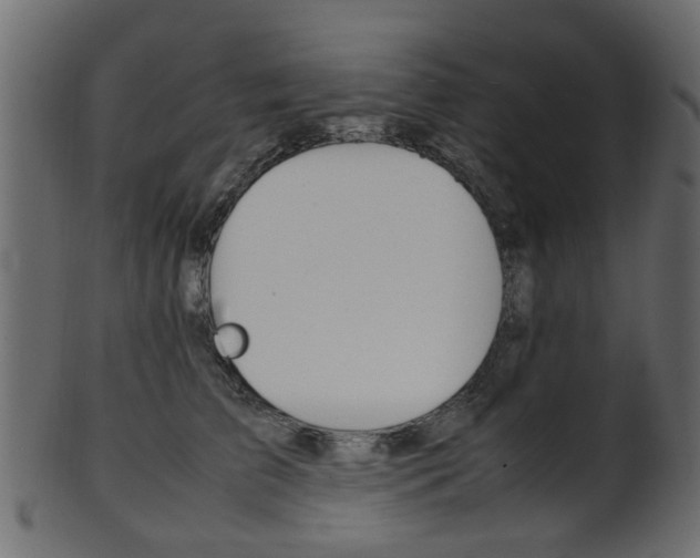 X0000102030709200807181007