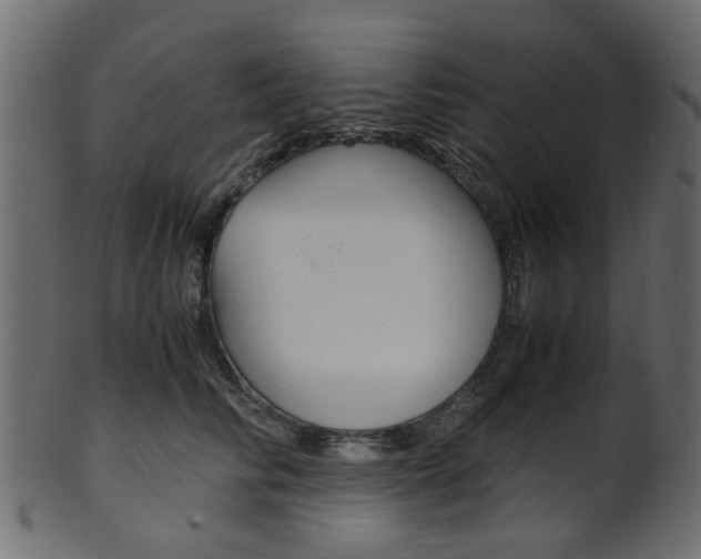 X0000102030710200807181007