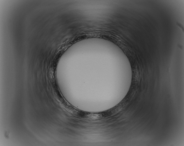 X0000102030711200807181007