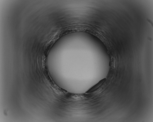 X0000102030712200807181007