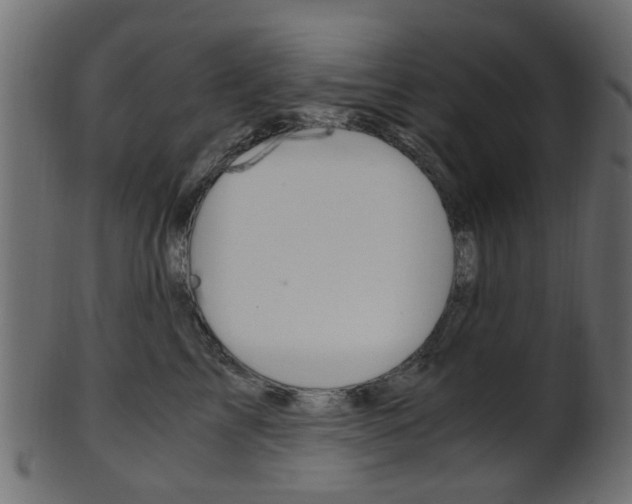 X0000102030713200807181007