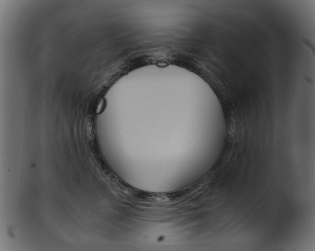 X0000102030715200807181006