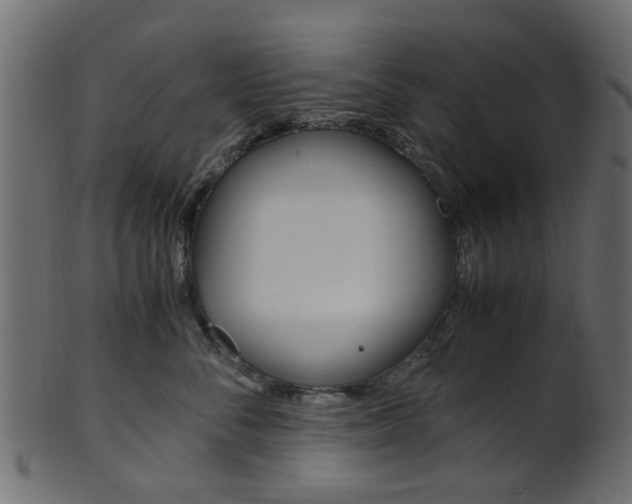 X0000102030716200807181006