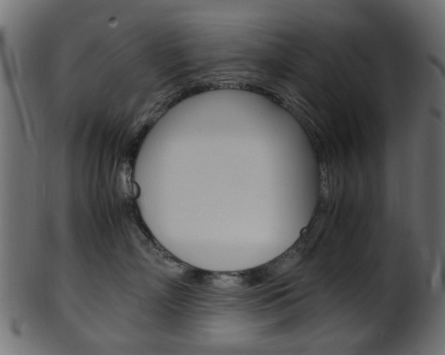 X0000102030718200807181006