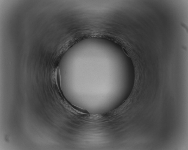 X0000102030720200807181006